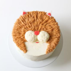 Cat Cake Cat Cake