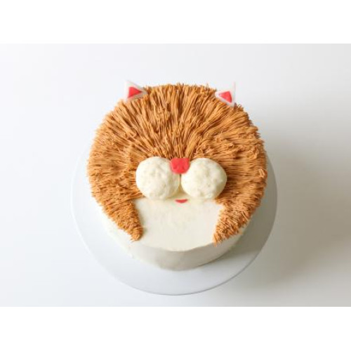 Cat Cake