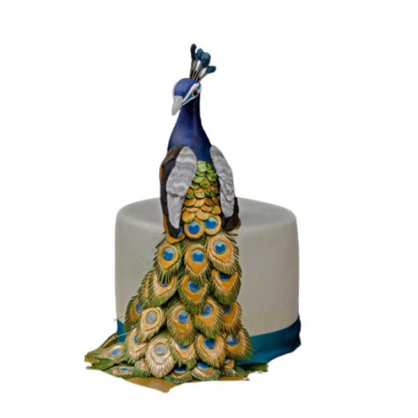 Peacock Feather Cake