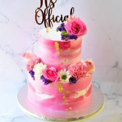 Three Colour Cake Three Colour Cake