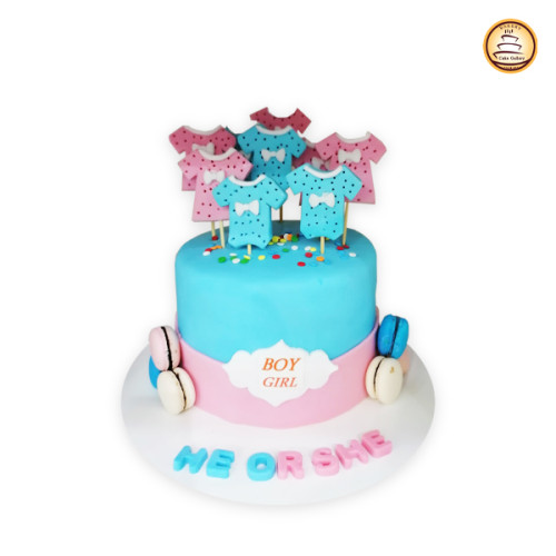 Gender Reveal Cake