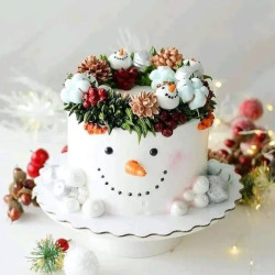 Xmas cake Xmas cake