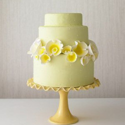 Yellow Cake Yellow Cake