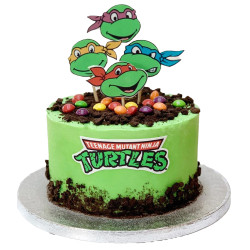 Ninja Turtle Cake Ninja Turtle Cake