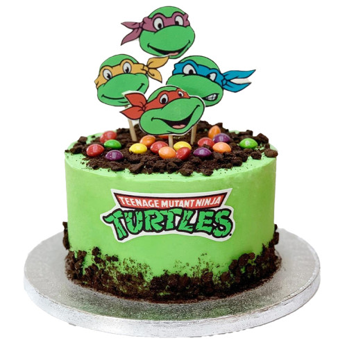 Ninja Turtle Cake