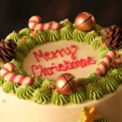 Christmas Cake Christmas Cake