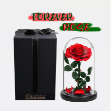 Forever Rose