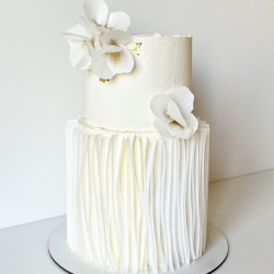 Tow  layered tree cake Tow  layered tree cake