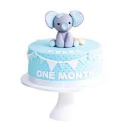 Baby Boy Cake  Baby Boy Cake