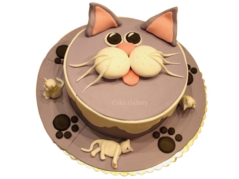 Cat Design Birthday Cake / - The kids were super excited and asked me