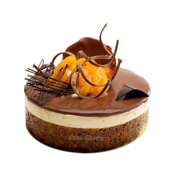Special Chocolate Cake