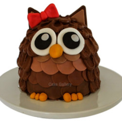 Owl Cake Owl Cake