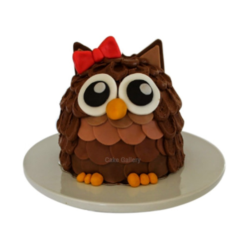 Owl Cake