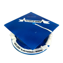 Graduation Cake  Graduation Cake