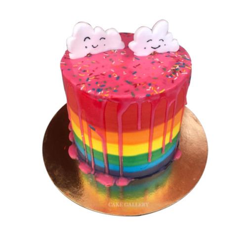 Stylish Rainbow cake 