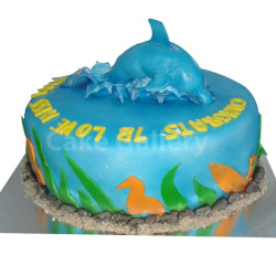 Blue Dolphin Cake Blue Dolphin Cake