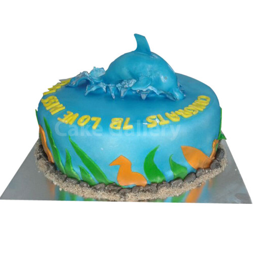 Blue Dolphin Cake