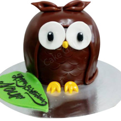Owl Cake Owl Cake