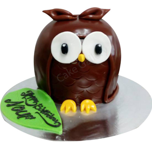 Owl Cake