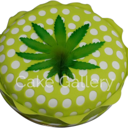 Round Yellow Cake Round Yellow Cake