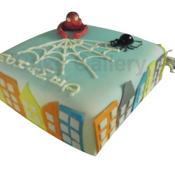 Spider Cake Spider Cake