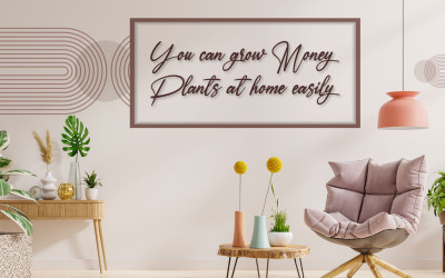 You can grow money plants at home easily You can grow money plants at home easily
